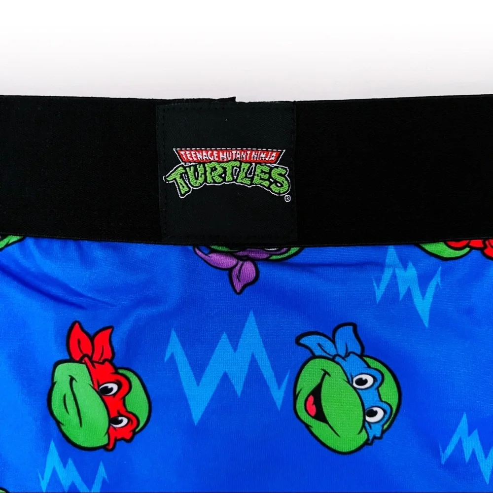 Teenage Mutant Ninja Turtles Crazy Boxer Briefs Mens Large Underwear Nickelodeon